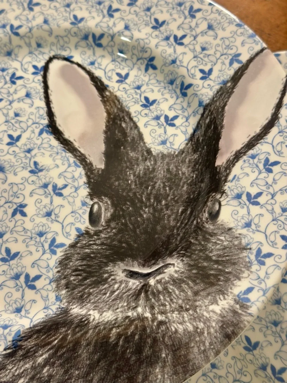 Royal Stafford Blue Chintz Bunny 11 inch Plate Set England